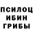 Псилоцибиновые грибы Psilocybine cubensis Oleg Korj
