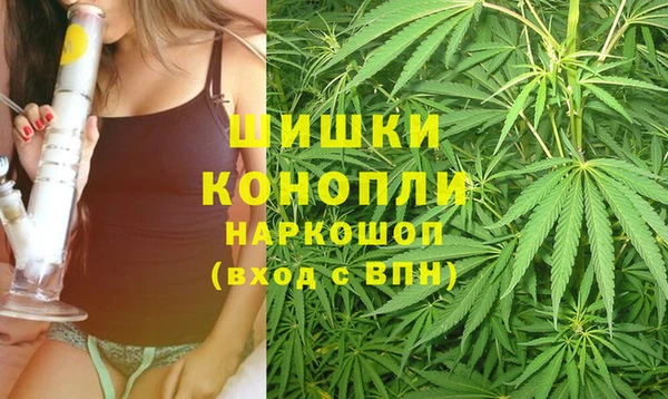 амф Михайловск