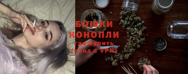 амф Михайловск