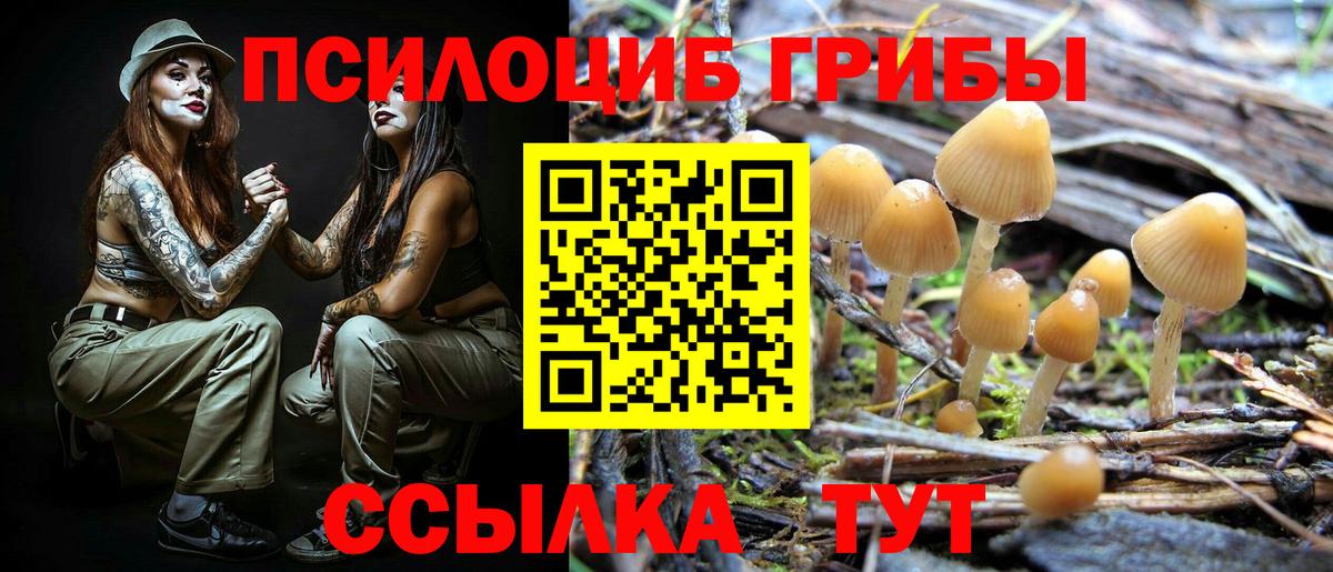 Псилоцибиновые грибы Cubensis Благодарный