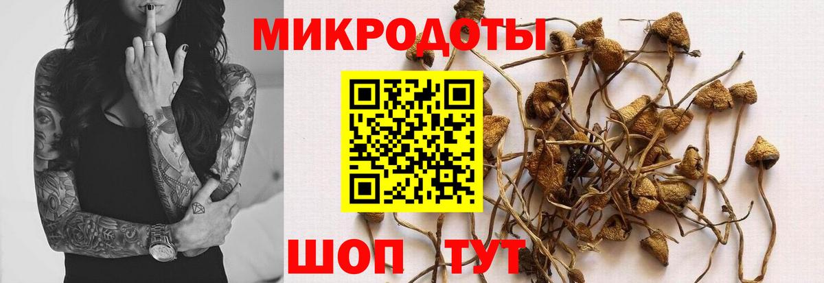 Псилоцибиновые грибы Magic Shrooms Благодарный
