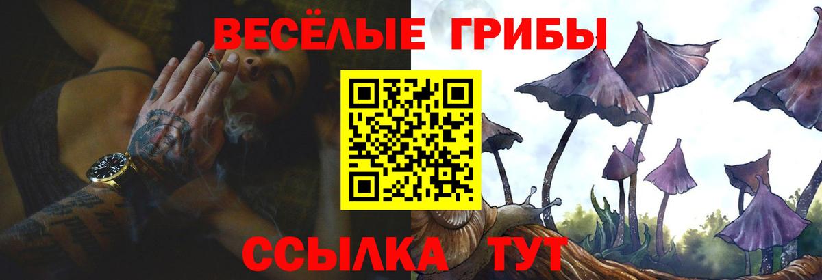 Псилоцибиновые грибы Magic Shrooms  Вход с VPN  Псилоцибиновые грибы мухоморы  где продают наркотики  Благодарный 