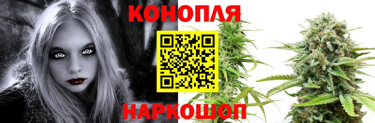 Шишки марихуана ГИДРОПОН  Вход с VPN  Благодарный  Бошки Шишки гибрид 